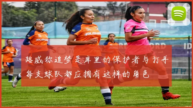 路威称追梦是库里的保护者与打手每支球队都应拥有这样的角色