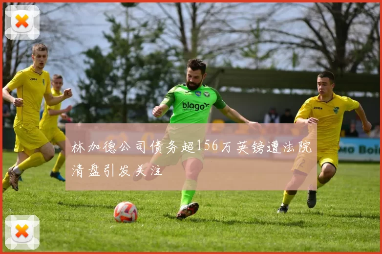 林加德公司债务超156万英镑遭法院清盘引发关注