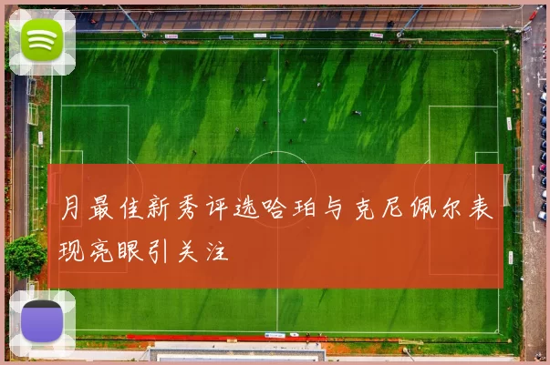月最佳新秀评选哈珀与克尼佩尔表现亮眼引关注